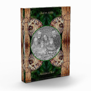 Brown Owl Butterfly Frame Create Your Own  Photo Block