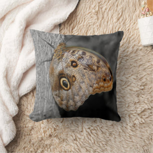 Brown Owl Butterfly Nature  Throw Pillow