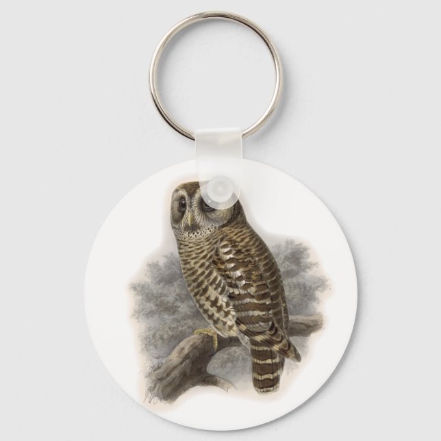 Brown Owl Keychain (Front)