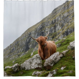 BROWN OX ON MOUNTAIN