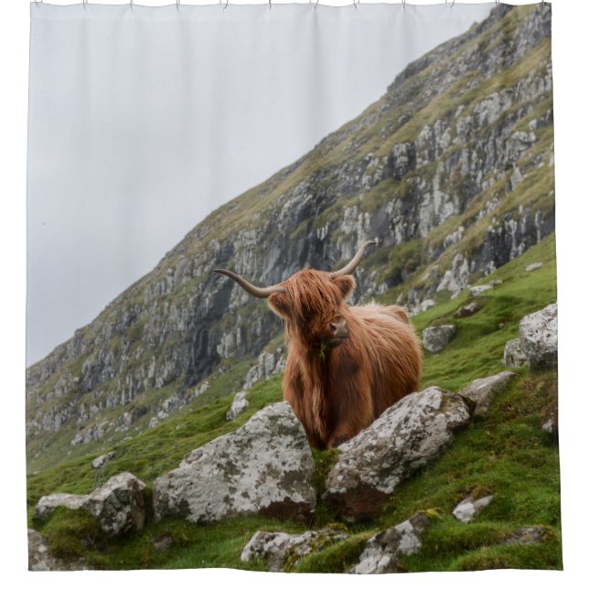 BROWN OX ON MOUNTAIN (Front)