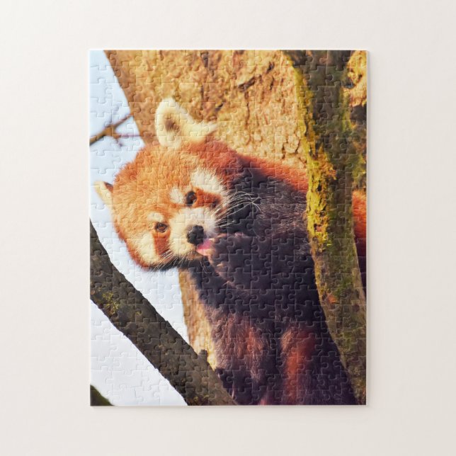 Brown Panda Bears. Jigsaw Puzzle (Vertical)