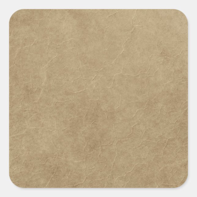 Brown Paper Bag Like Texutre Square Sticker (Front)