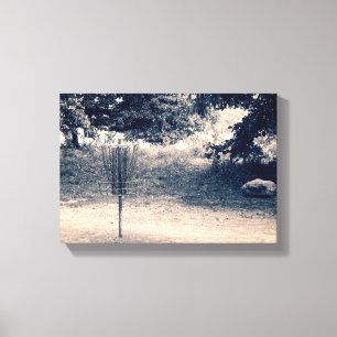 Brown Park Basket #18 Canvas Print