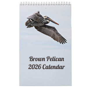 Brown Pelican 2025 Calendar