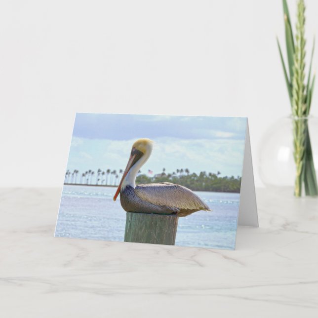 Brown Pelican and Palm Trees Card (Front)