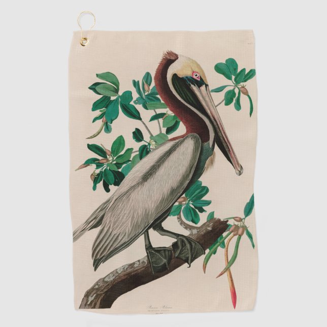 Brown Pelican Birds of America Audubon Print Golf Towel (Front)