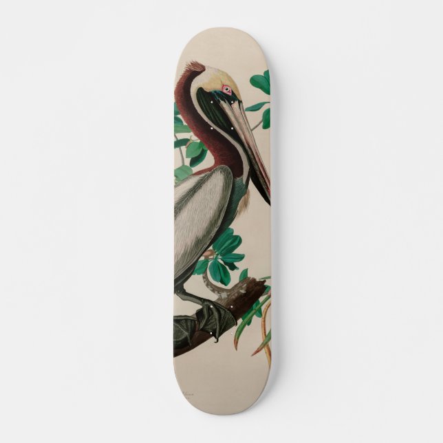 Brown Pelican Birds of America Audubon Print Skateboard (Front)