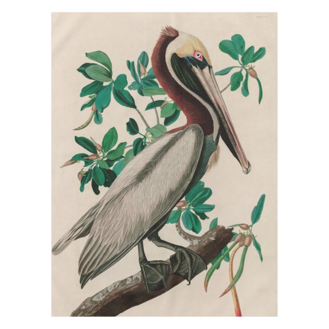 Brown Pelican Birds of America Audubon Print Tablecloth (Front)