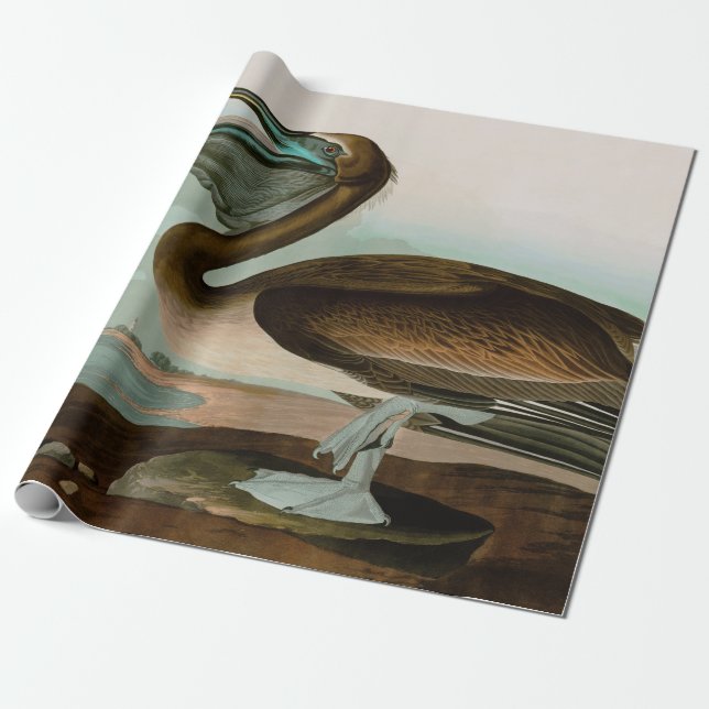 Brown Pelican Birds of America Audubon Print Wrapping Paper (Unrolled)