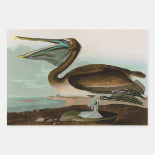 Brown Pelican Birds of America Audubon Print Wrapping Paper Sheet