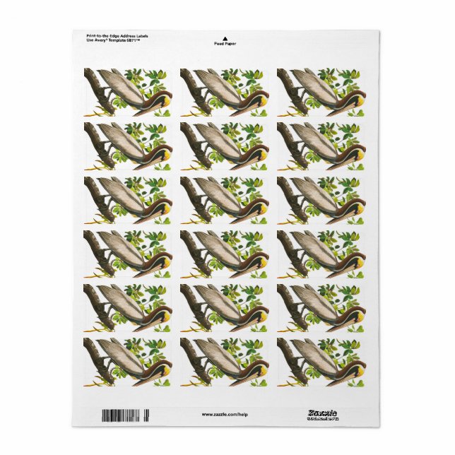 Brown Pelican by John James Audubon Label (Full Sheet)