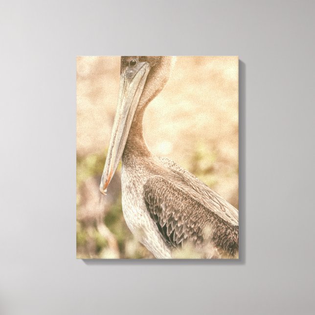 Brown Pelican Canvas Print (Front)