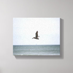 Brown Pelican Flying Over the Ocean Colour 8x10 Canvas Print
