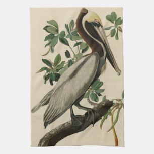 Brown Pelican from Audubon's Birds of America Kitchen Towel