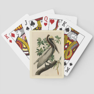 Brown Pelican from Audubon's Birds of America Playing Cards