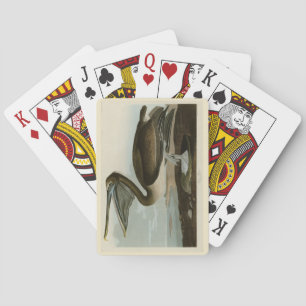 Brown Pelican from Audubon's Birds of America Playing Cards
