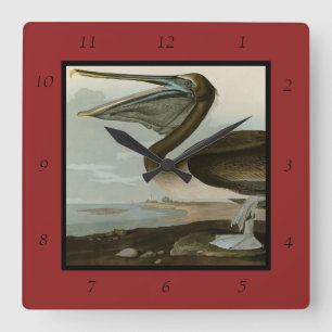 Brown Pelican from Audubon's Birds of America Square Wall Clock