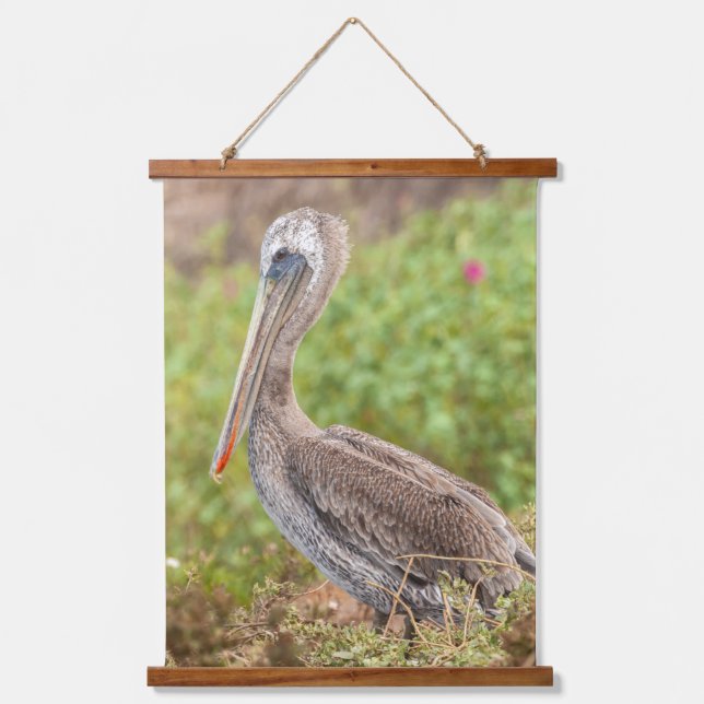Brown Pelican Hanging Tapestry (Front)