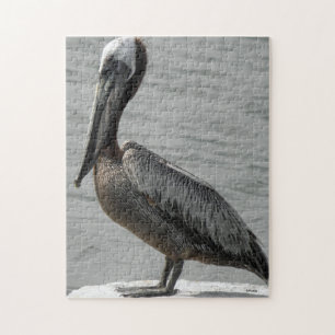 Brown Pelican Jigsaw Puzzle