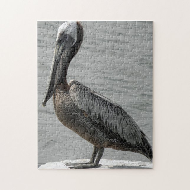 Brown Pelican Jigsaw Puzzle (Vertical)
