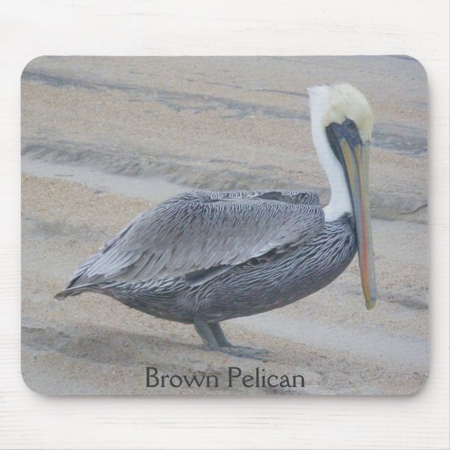 Brown Pelican Mousepad (Front)