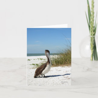Brown Pelican Notecard