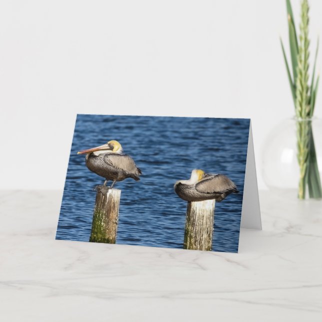 Brown Pelican Pair Roosting on Posts Greeting  Card (Front)