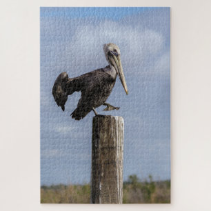 Brown Pelican Puzzle