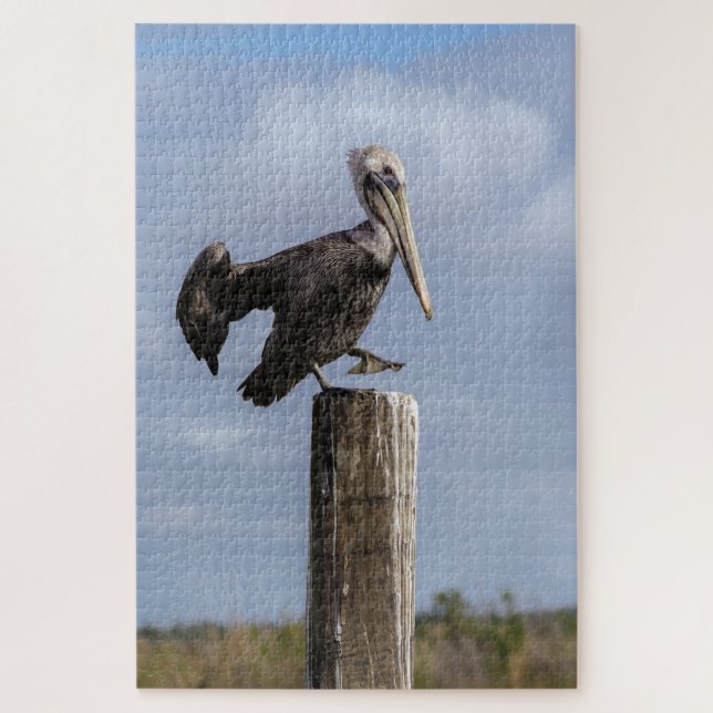 Brown Pelican Puzzle (Vertical)