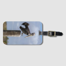 Brown Pelican Puzzle