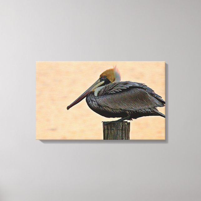 Brown Pelican Resting on Piling Canvas Print (Front)