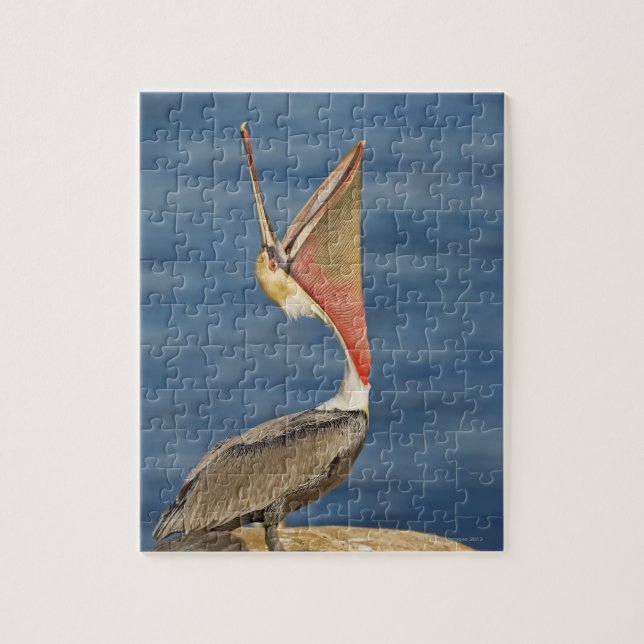Brown Pelican with mouth open Jigsaw Puzzle (Vertical)