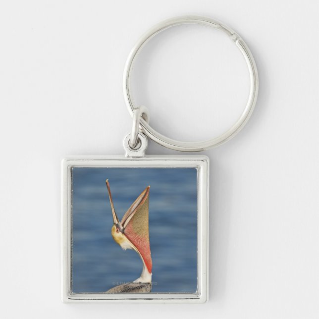 Brown Pelican with mouth open Keychain (Front)
