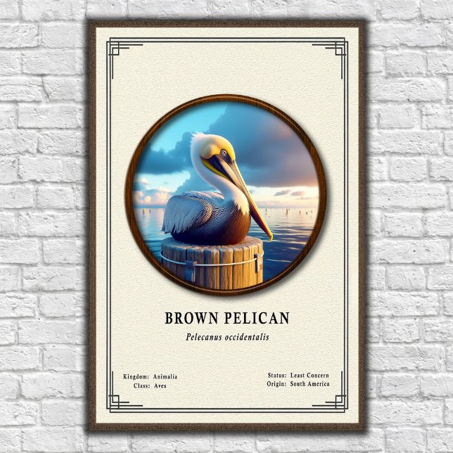Brown Pelican Zoology Series Poster (Creator Uploaded)