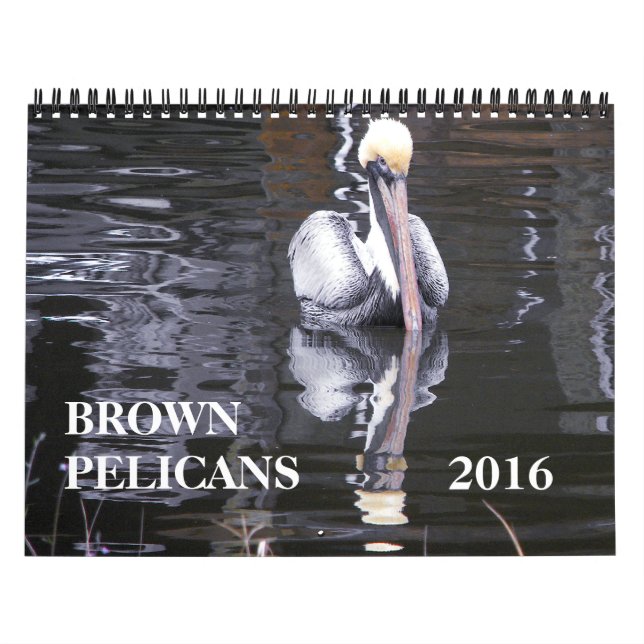 Brown Pelicans Calendar (Cover)