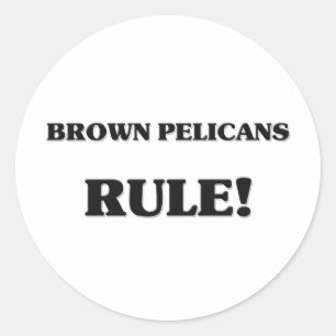 Brown Pelicans Rule Classic Round Sticker