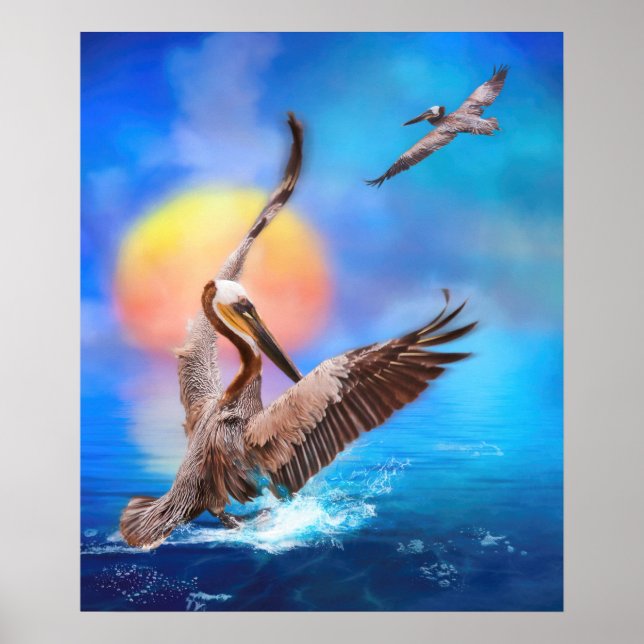 Brown Pelicans "SUN KISSED PELICANS" Poster (Front)