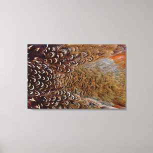 Brown Pheasant Feather Design Canvas Print