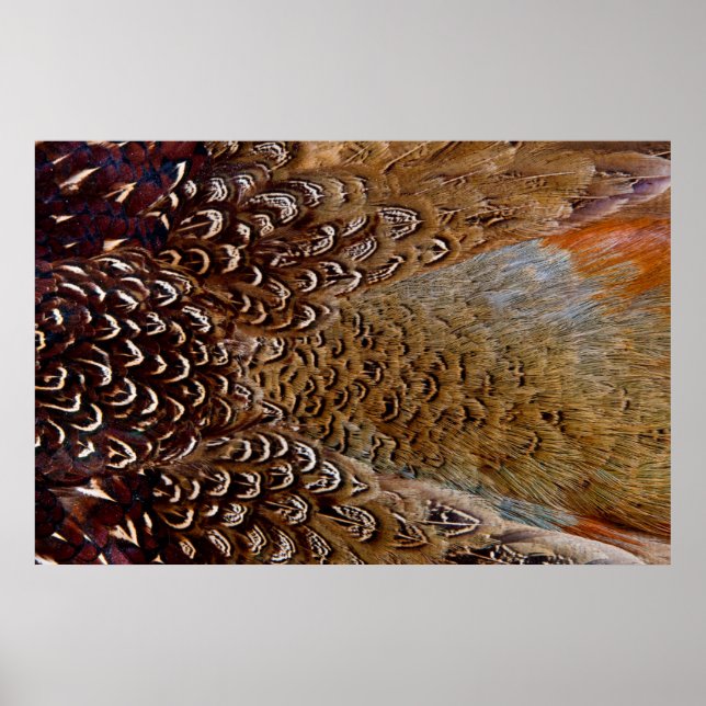Brown Pheasant Feather Design Poster (Front)