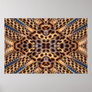 Brown pheasant feather kaleidoscope poster