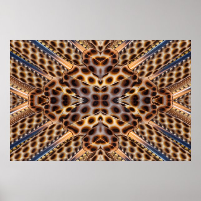 Brown pheasant feather kaleidoscope poster (Front)