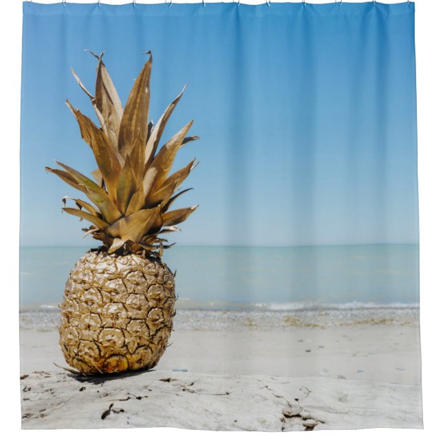 Brown pineapple fruit on seashore (Front)