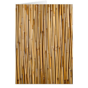 Brown Plante de bambou tropical