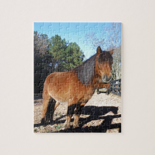 Brown pony turquoise Sky Jigsaw Puzzle (Vertical)