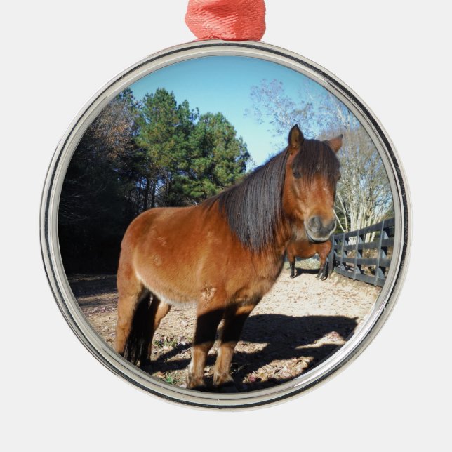 Brown pony turquoise Sky Metal Ornament (Front)