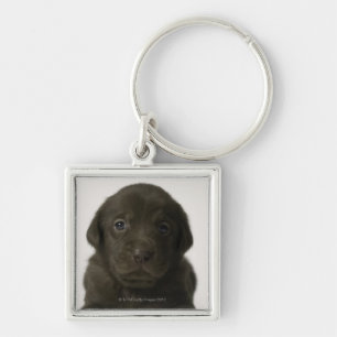 Brown puppy, portrait, close-up keychain