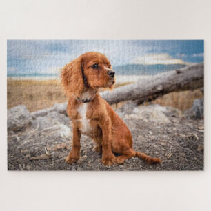 Brown puppy viewing outdoors jigsaw puzzle
