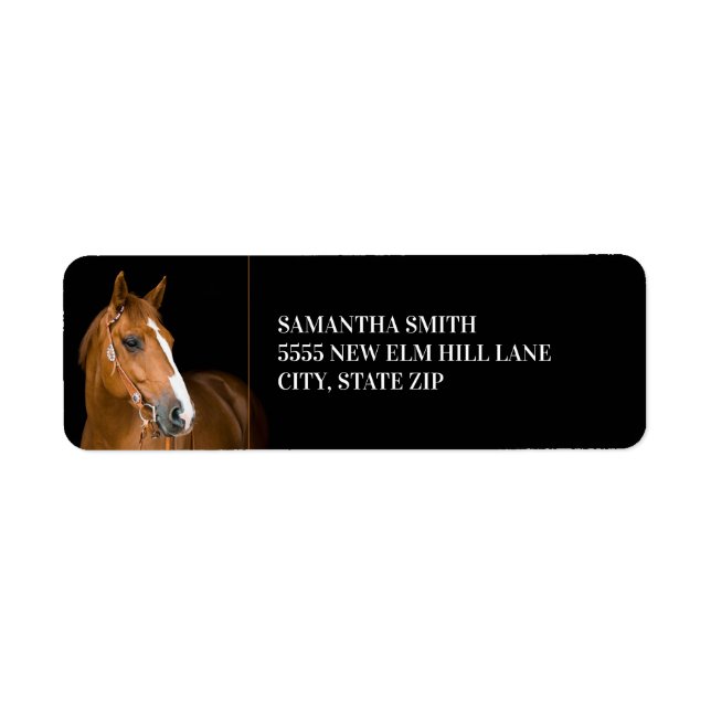 Brown Quarter Horse Photo Black (Front)