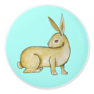 Brown Rabbit on Aqua Ceramic Knob